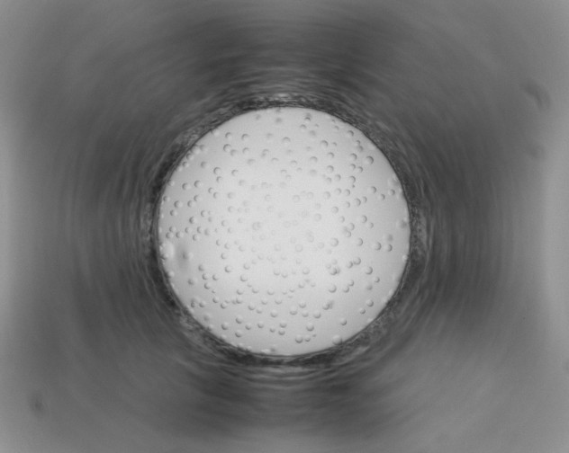 X0000113750657200910141027