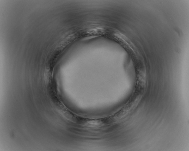 X0000113750659200910141027