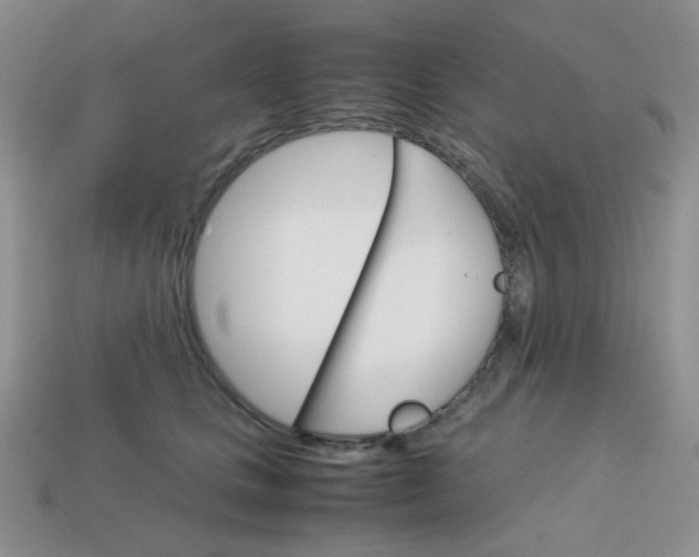 X0000113750661200910141027