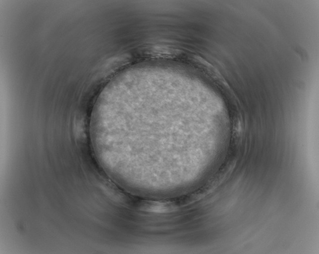 X0000113750663200910141027