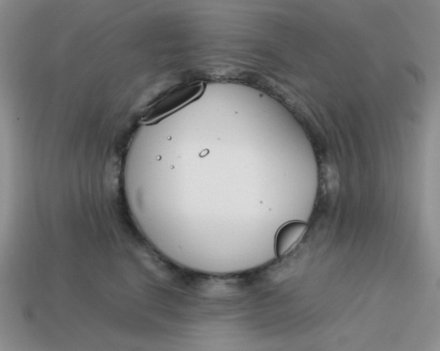 X0000113750664200910141027