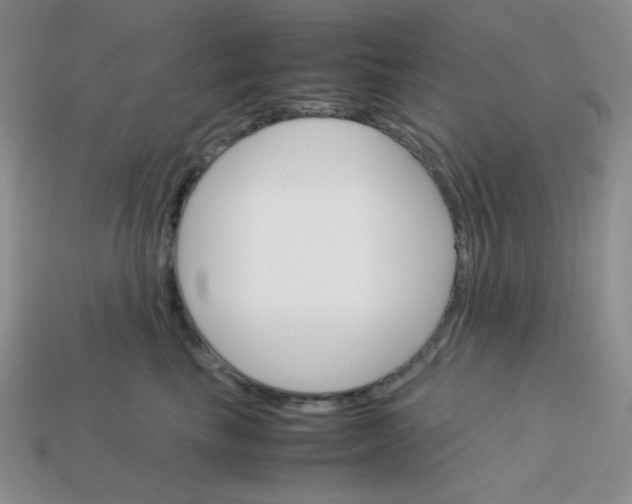 X0000113750665200910141027