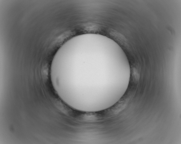 X0000113750668200910141027