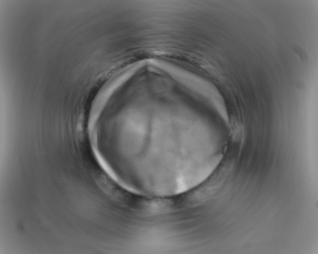 X0000113750670200910141027