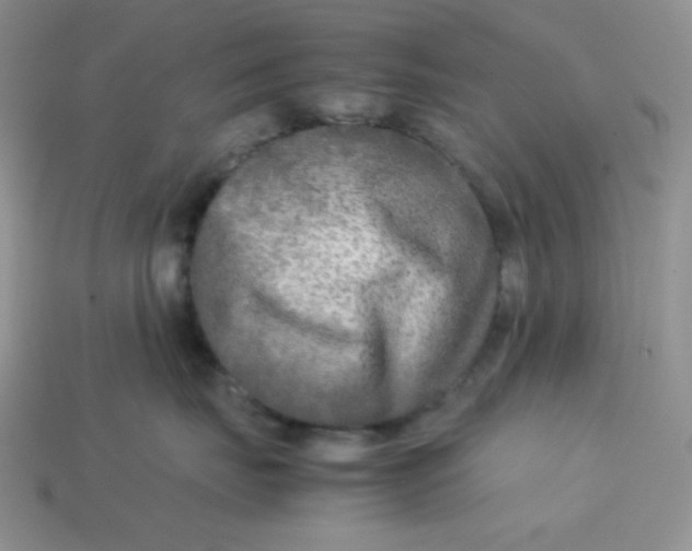 X0000113750671200910141027