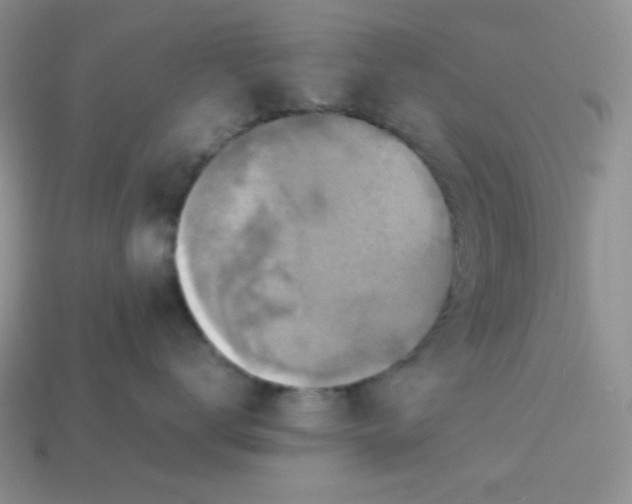 X0000113750672200910141027