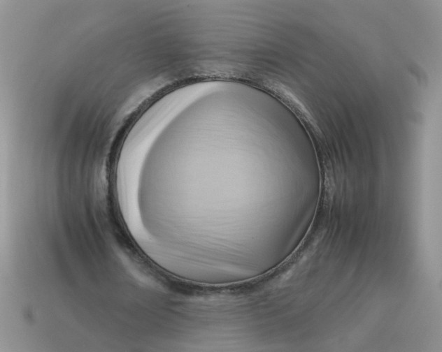 X0000113750674200910141027