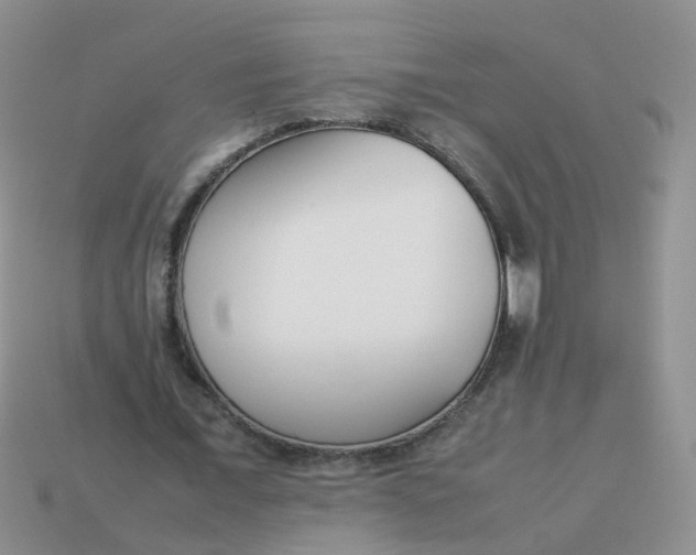 X0000113750675200910141027