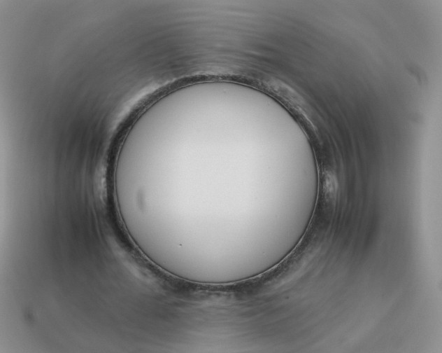 X0000113750676200910141027