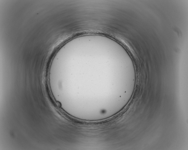 X0000113750677200910141026