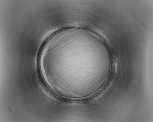 X0000113750678200910141026