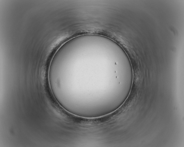 X0000113750679200910141026