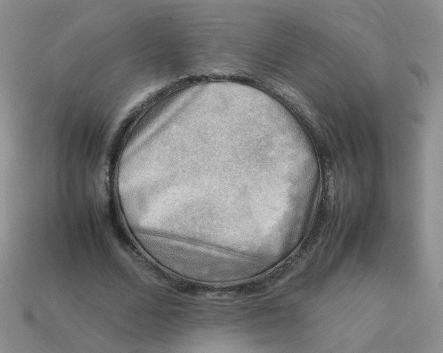 X0000113750680200910141026