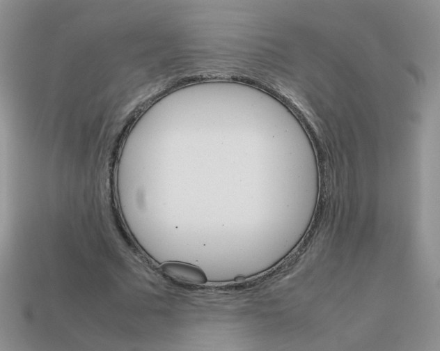 X0000113750681200910141026