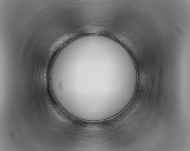 X0000113750682200910141026