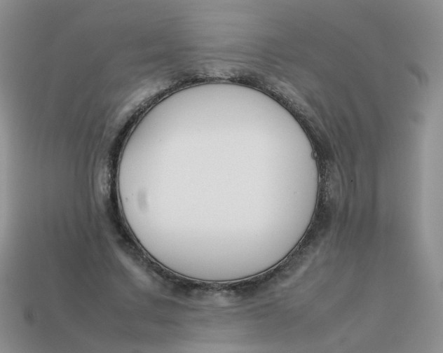 X0000113750683200910141026