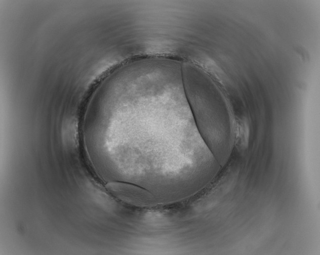 X0000113750684200910141026