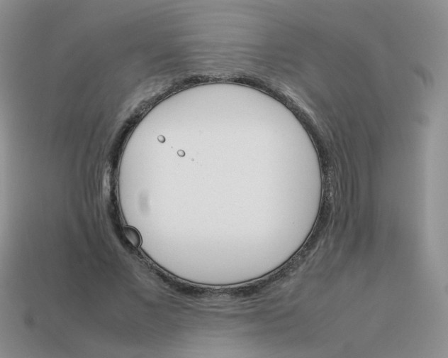 X0000113750685200910141026