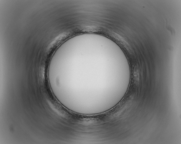 X0000113750686200910141026