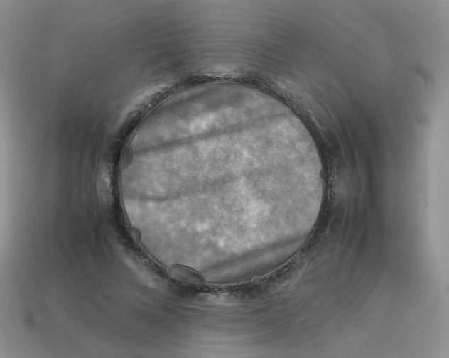 X0000113750688200910141026