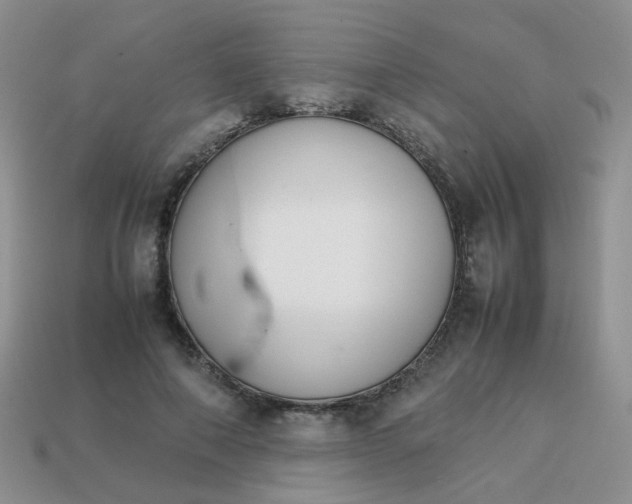 X0000113750690200910141026