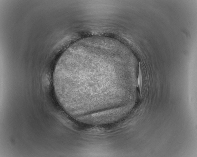 X0000113750691200910141026