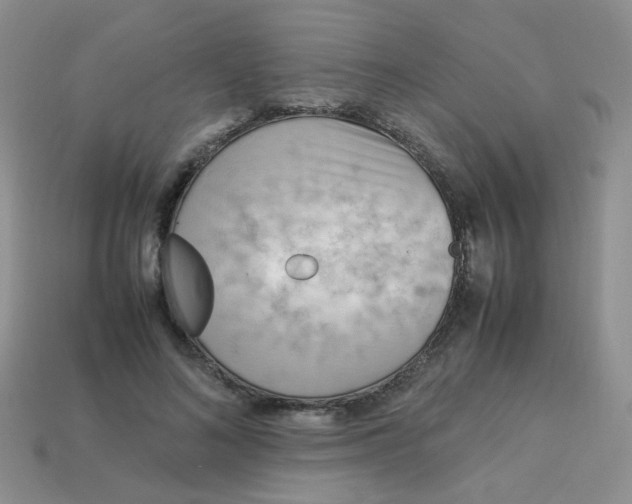 X0000113750692200910141026