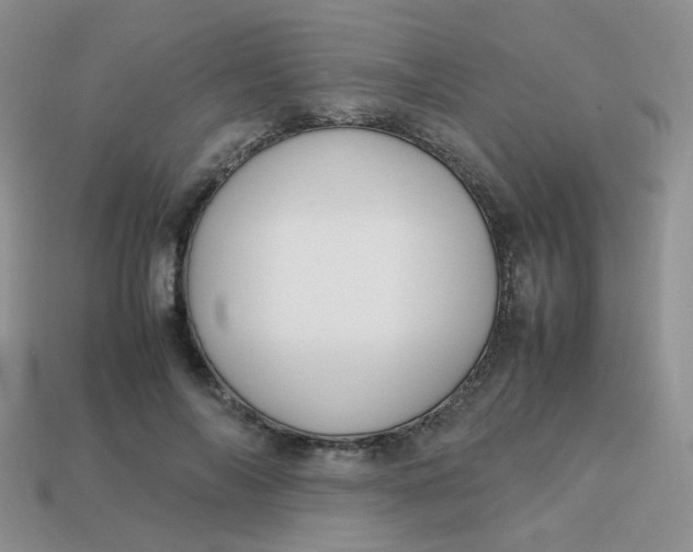 X0000113750694200910141026