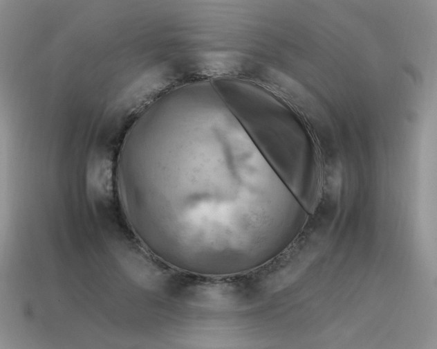 X0000113750696200910141026