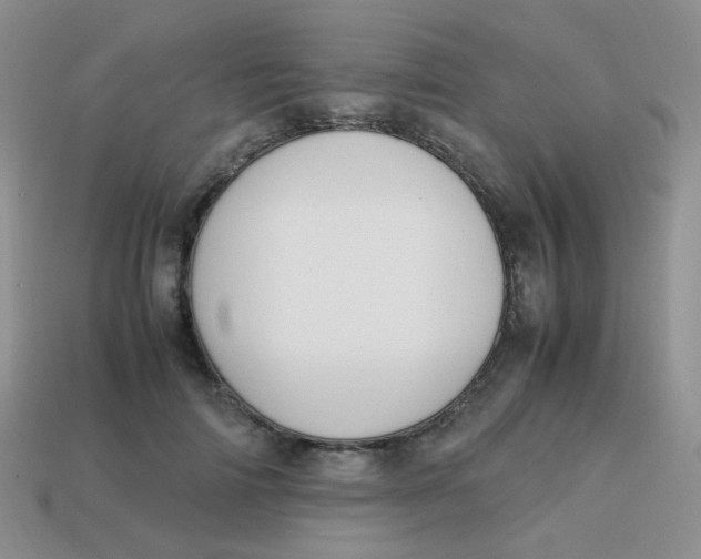 X0000113750698200910141026