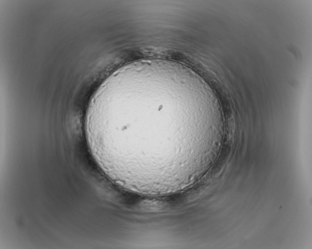 X0000113750699200910141026