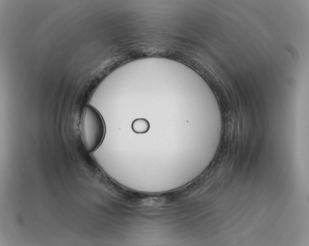 X0000113750700200910141026