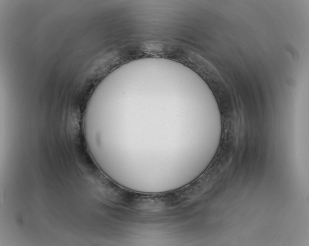 X0000113750702200910141026