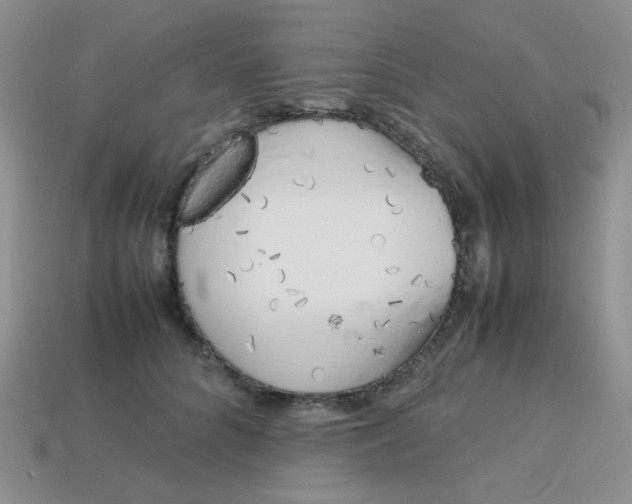 X0000113750704200910141026