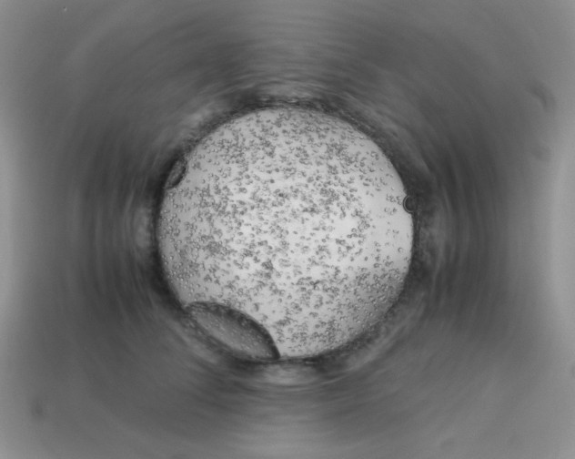 X0000113750708200910141026