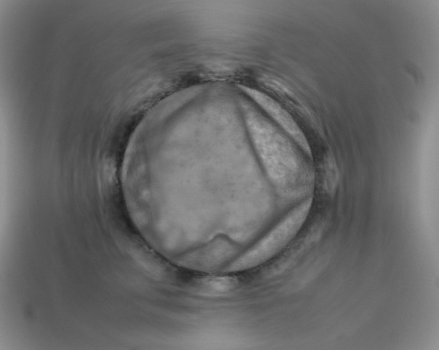 X0000113750711200910141026