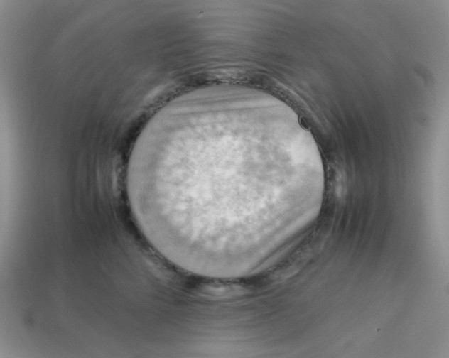 X0000113750712200910141026