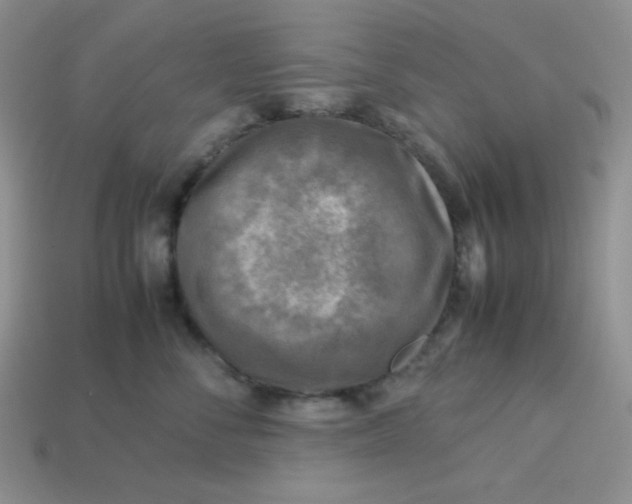 X0000113750716200910141026