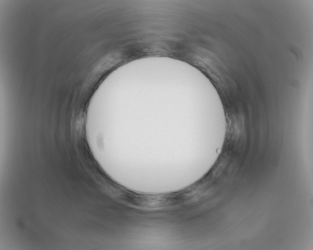 X0000113750717200910141026