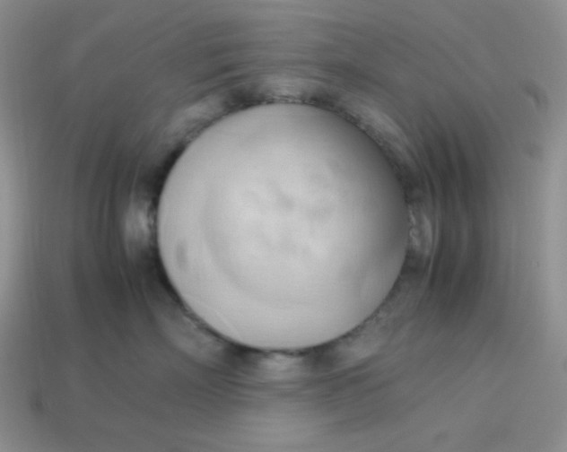 X0000113750718200910141026