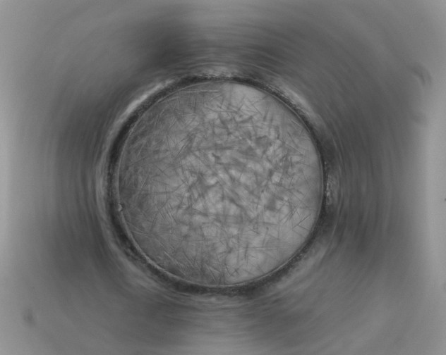 X0000113750722200910141025