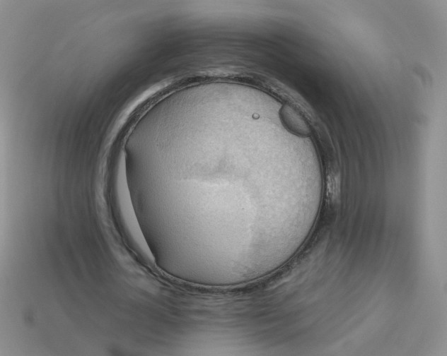 X0000113750724200910141025