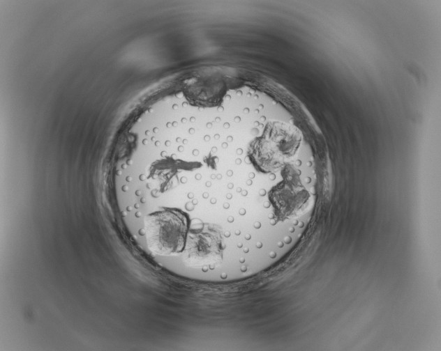 X0000113750725200910141025