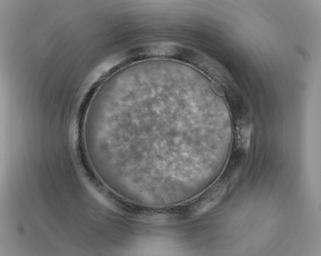 X0000113750726200910141025