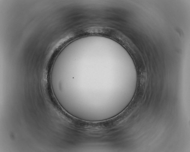 X0000113750727200910141025