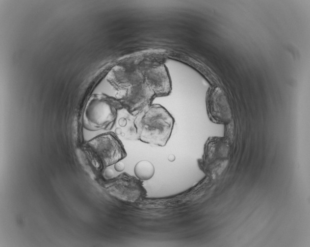 X0000113750729200910141025