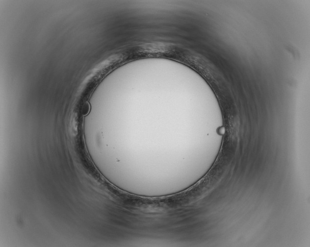 X0000113750731200910141025