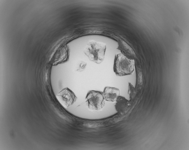 X0000113750733200910141025