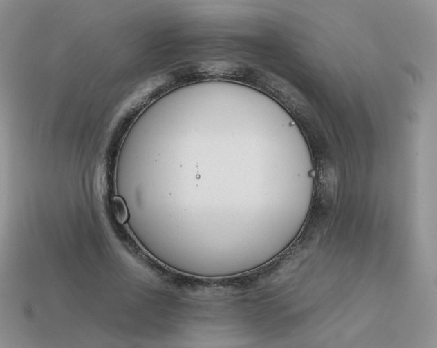 X0000113750734200910141025