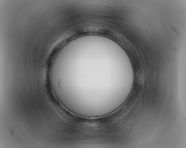 X0000113750735200910141025